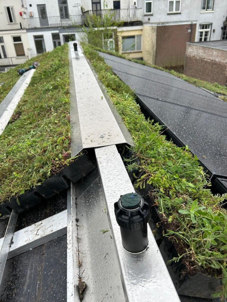 Groendak in Nijmegen