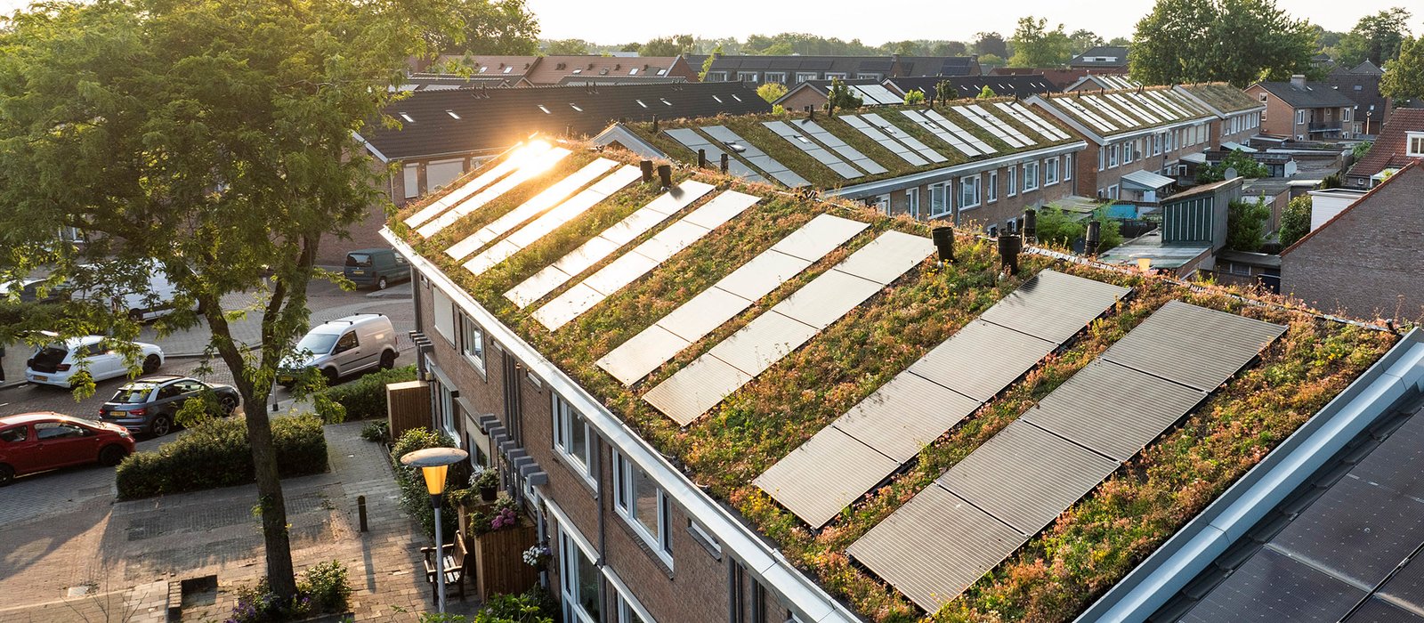 Groendak met zonnepanelen op een rij woningen